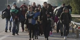 Prestati sa prisilnim transferom migranata na Vučjak