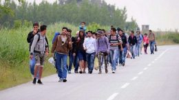 Sastanak IOM-a i Službe za poslove sa strancima o migrantskoj krizi: Situacija će se usložnjavati
