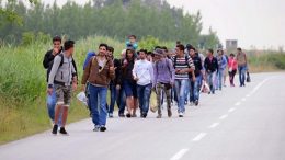 Izmještena 62 migranta s četiri lokacije na području grada Bihaća