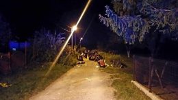 Dvije osobe ubijene u sukobu migranata u Bihaću, najmanje 18 povrijeđenih