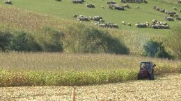 PROJEKAT ROBNIH REZERVI USK- ZADOVOLJIT ĆE POTREBE SVIH JEDINICA LOKALNE SAMOUPRAVE PO PITANJU SKLADIŠTENJA ROBNIH REZERVI