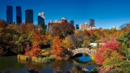 Novembar 2020. bio najtopliji ikad registrovan