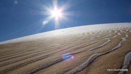 Snijeg prekrio Saharu, prizori oduševili ljude širom svijeta