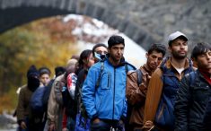 Van kampova 1.500 migranata, krajiške vlasti opet mole za pomoć