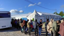 Izmješteno 255 migranata sa četiri lokacije na području grada Bihaća
