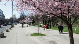 Vlada FBiH o ublažavanju mjera, moguće pomjeranje policijskog sata