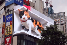 Divovska 3D mačka plijeni pažnju stanovnika Tokija