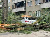 NEVRIJEME NA USK:U BIHAĆU VJETAR TRGAO DRVEĆE