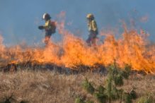 Požari u Hercegovini pod kontrolom