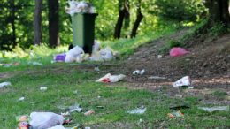 Mladi aktivisti kreirali kratki film “Eko tok” o očuvanju prirode