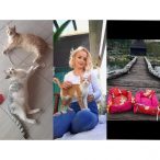 Mlada Kladuščanka Dževada u cilju pomaganja životinjama izrađuje krevetiće za kućne ljubimce