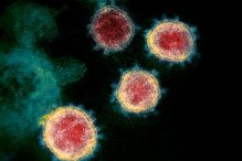U Japanu potvrđen prvi slučaj soja virusa korona omikron