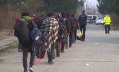 Cikotić: Potrebno efikasnije upravljanje migracijama