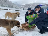 Policajci u Turskoj u hladnim zimskim danima nisu zaboravili napuštene životinje