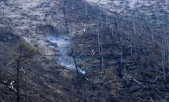 U Hercegovini ugašeno 10 požara, aktivna još četiri