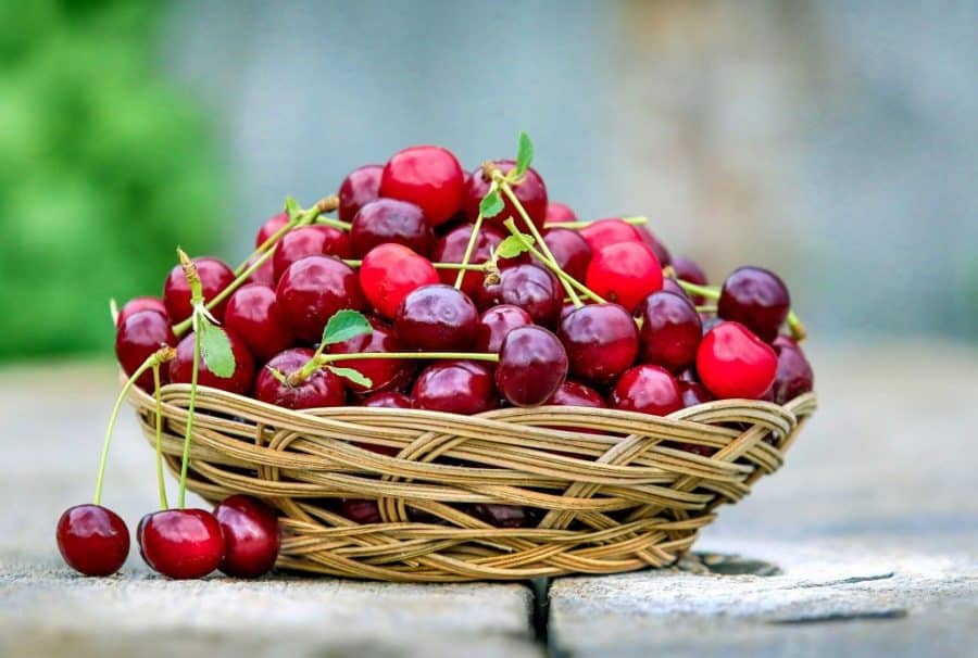 Trešnje biste trebali jesti zbog mnogo razloga, ne samo zbog okusa