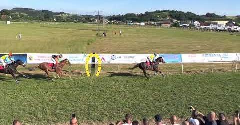 Velike konjičke utrke u Velikoj Kladuši: Grlo “Aliso” pobjednik glavne utrke