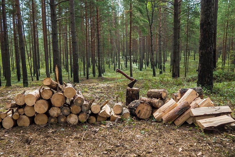Zabranjen izvoz ogrjevnog drveta iz BiH, cijena ogrjeva u BiH trebala bi se stabilizirati