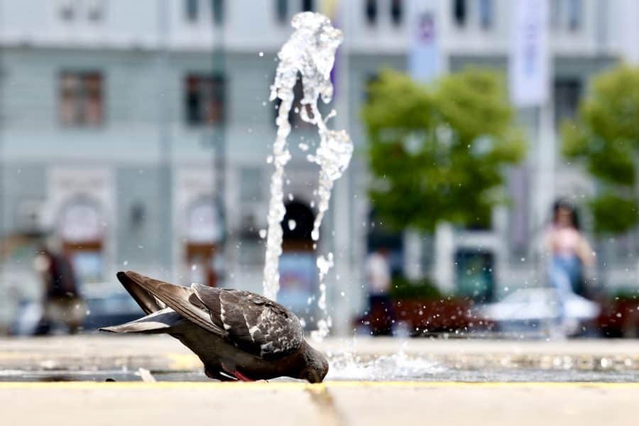 Toplotni val u Europi: Oboreni višestruki junski rekordi