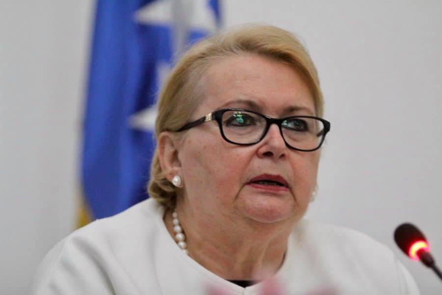 Bisera Turković će tražiti da BiH finansijski pomogne Pakistanu nakon poplava