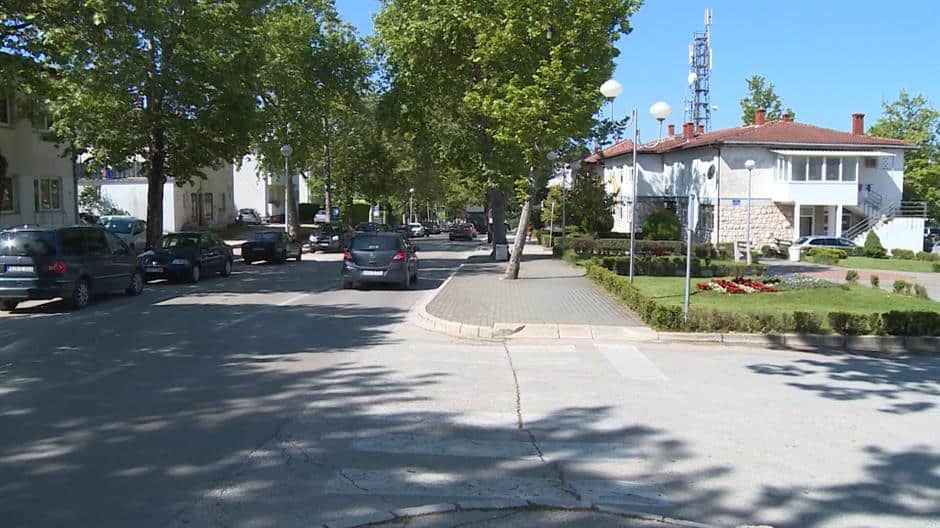 Desetogodišnja djevojčica preminula nakon što je na nju palo suho stablo