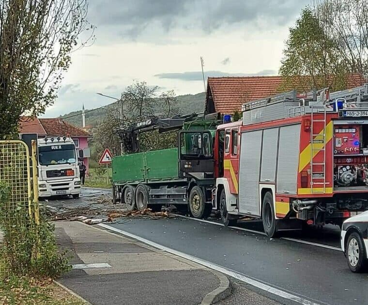Tragedija u Bihaću: Drvo palo na kabinu kamiona, vozač poginuo