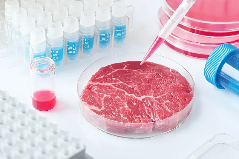 Amerika prvi put odobrila prodaju mesa koje je uzgojeno u laboratoriji
