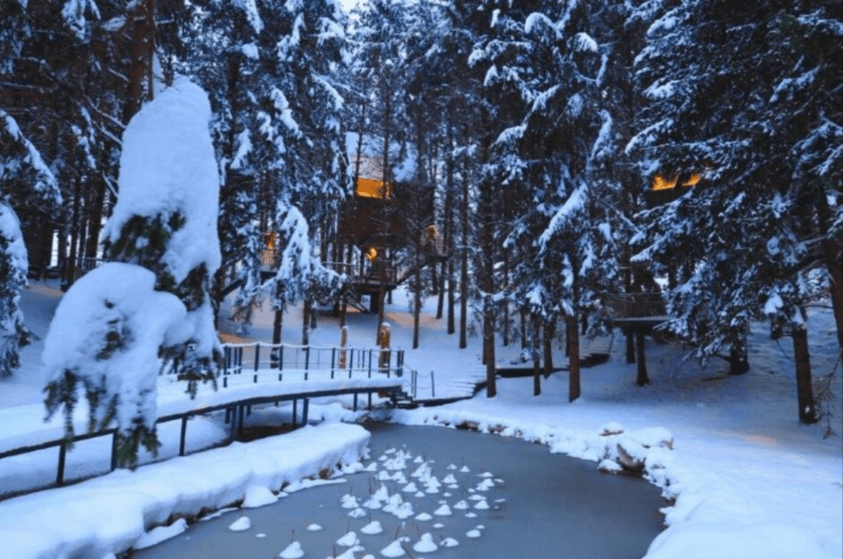 Zavirite u bajkovitu kućicu na drvetu pored Plitvica: Zimska idila s pogledom na jezero