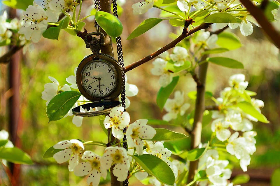 Kada prelazimo na ljetno računanje vremena?