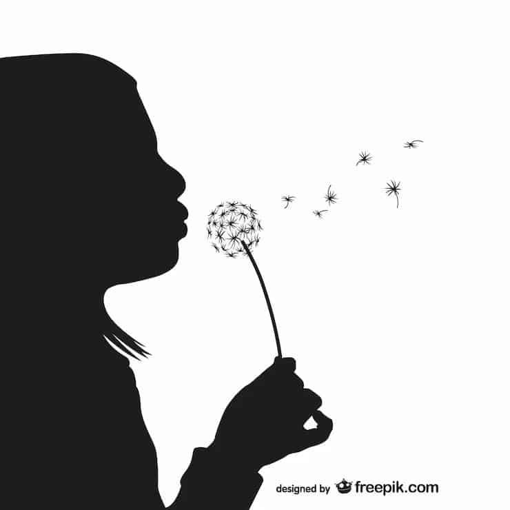 Četiri scene za Elviru ili zašto se ratnohuškačka retorika ne prima u Kladuši ljeta 2023.