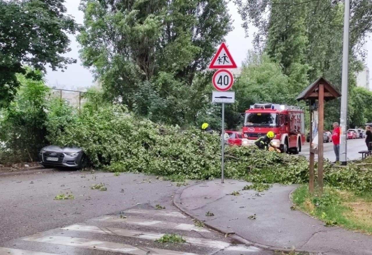 Hrvatska: Jak vjetar čupao drveće u Zagrebu i Karlovcu