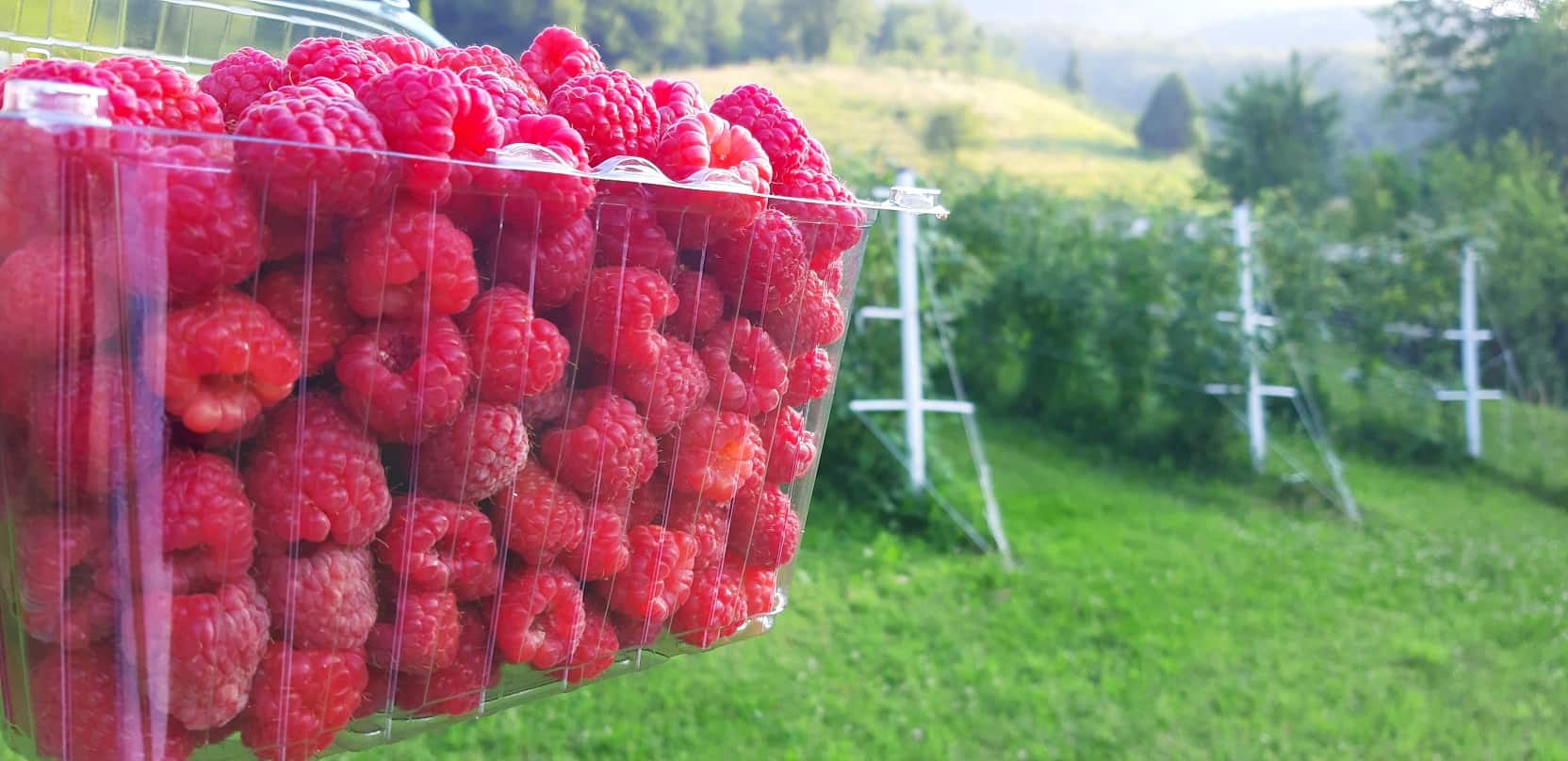 Malinari u Unsko-sanskom kantonu u problemima