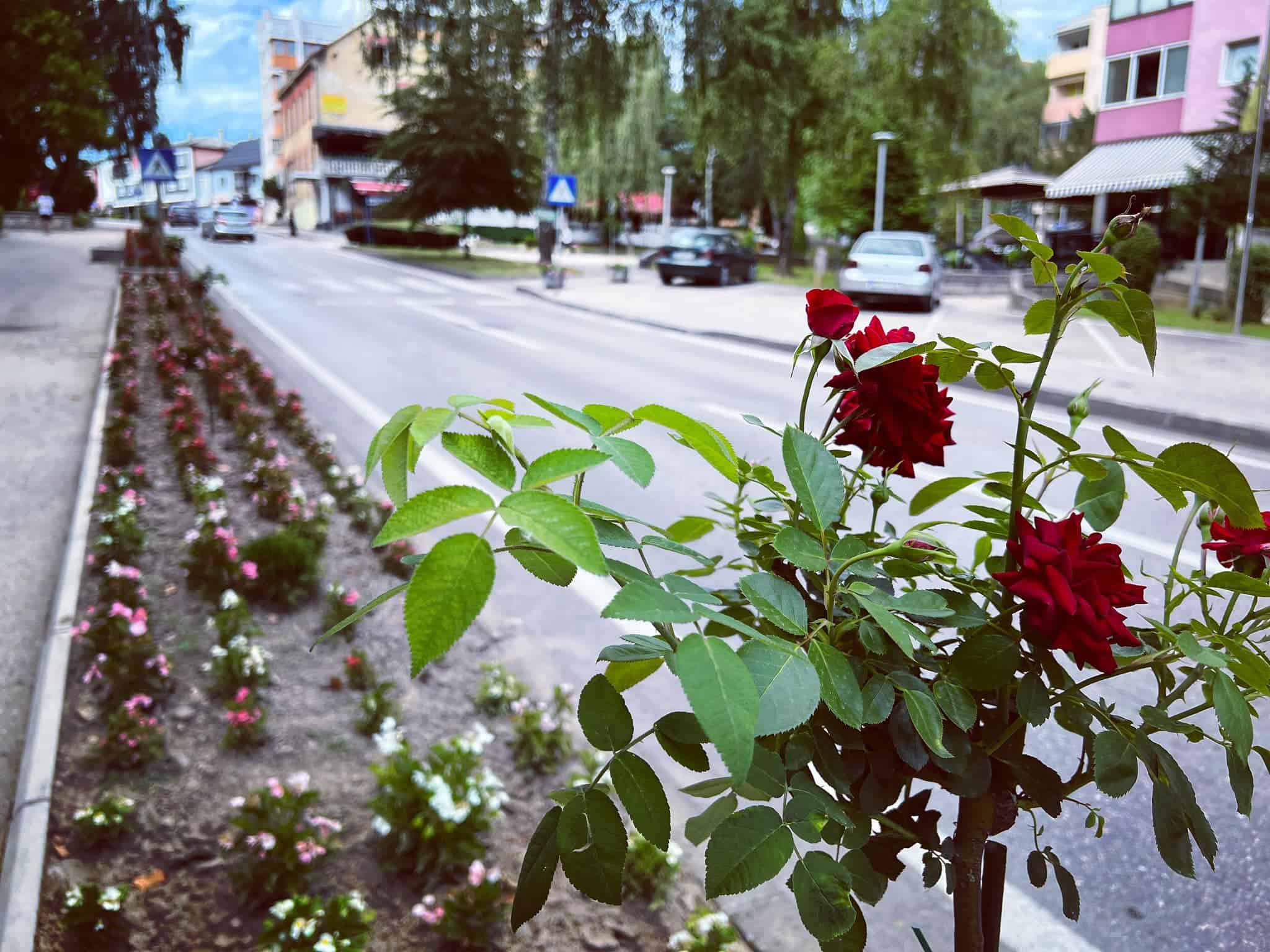 U BiH danas sunčano i toplo, obećavajuće prognoze i za narednu sedmicu