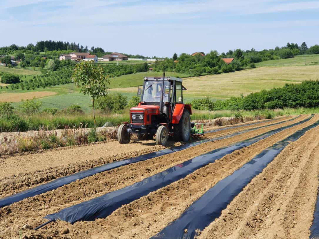 Nada za poljoprivrednike u BiH: EU izdvaja dva miliona KM za podršku investicijama