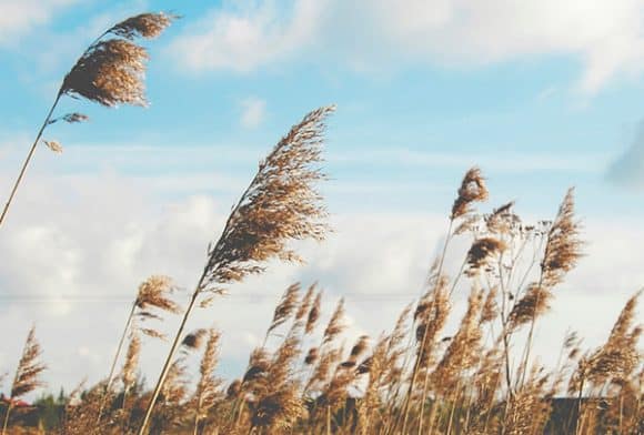 U pojedinim dijelovima BiH na snazi žuti meteoalarm zbog jakih udara vjetra