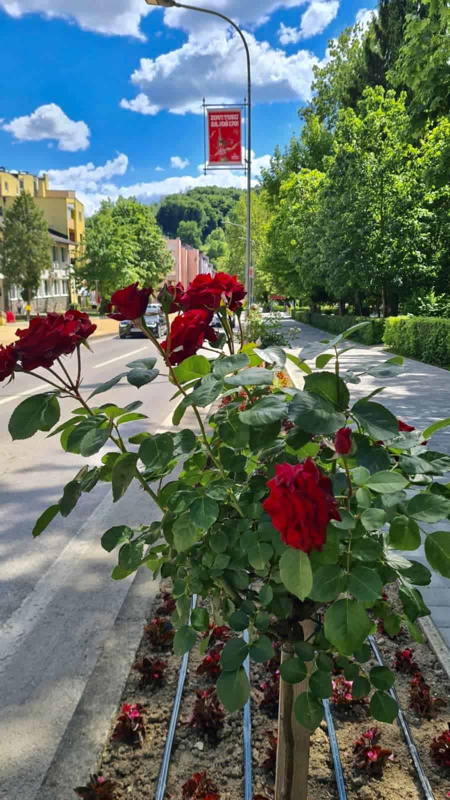 U BiH sunčano i toplo