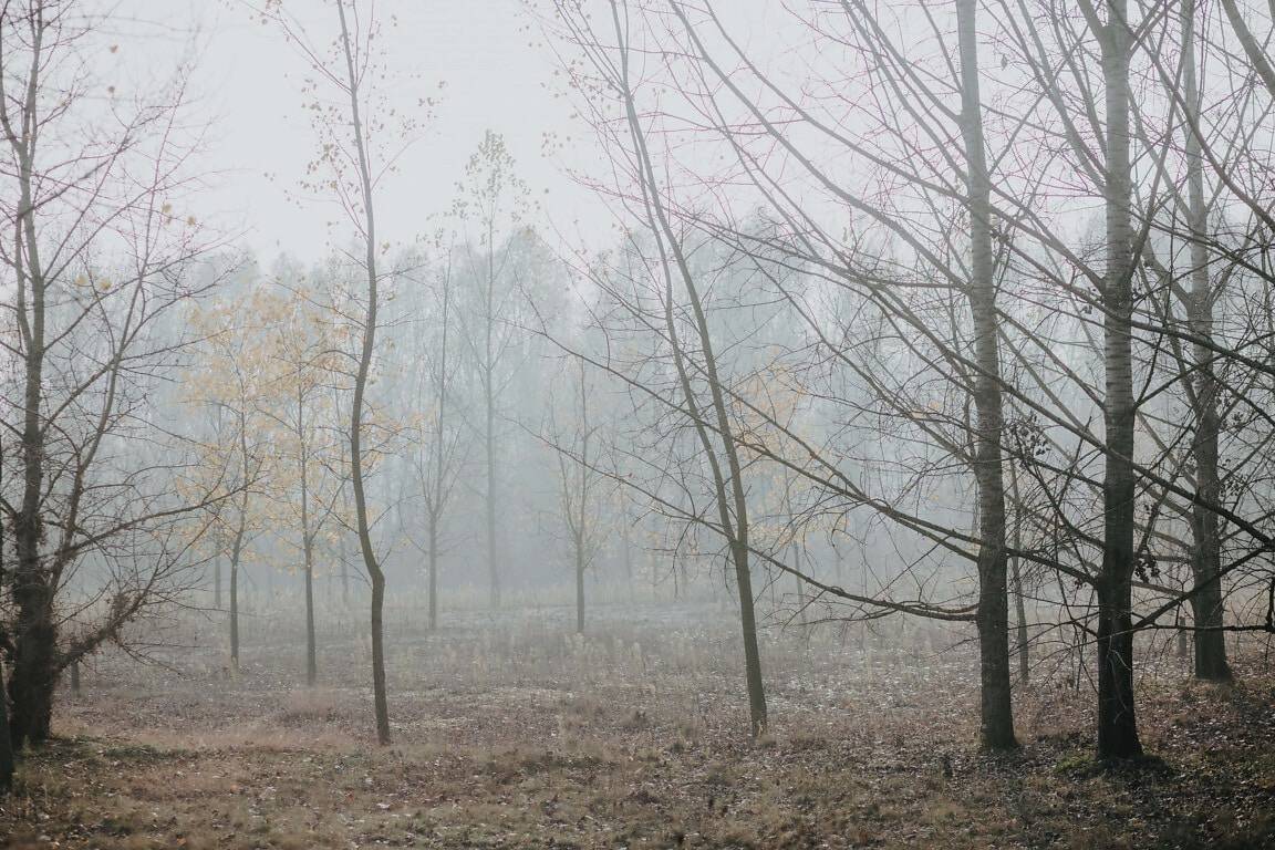Počeli minusi, jutros temperature i do -6