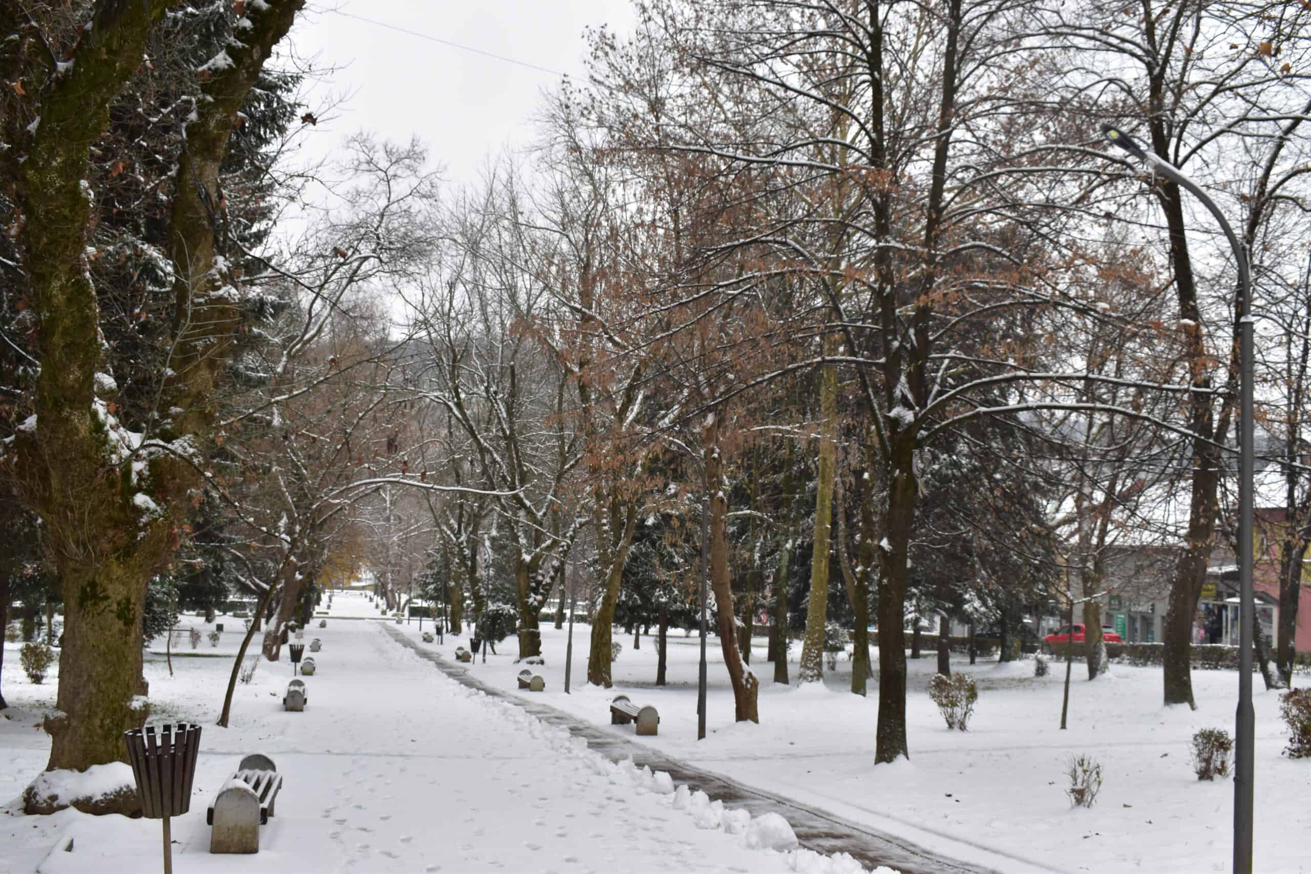 U većem dijelu BiH večeras će padati snijeg, narednih dana nestabilno vrijeme