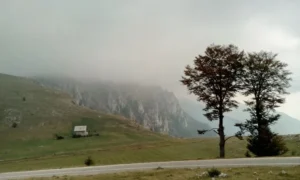 Drama na Vlašiću: Medvjed napao mladića u blizini skijaške staze
