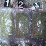 Predložen pritvor 35-godišnjaku iz Velike Kladuše zbog droge i nelegalnog oružja