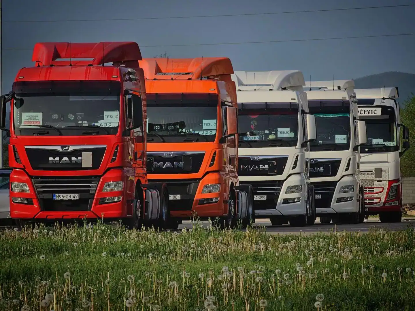 Alarmantni podaci Konzorcijuma Logistika BiH: 100 profesionalnih vozača nasilno vraćeno iz EU, institucije šute