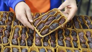 Upozorenja na označavanje izraelskih hurmi kao palestinskih uoči ramazana