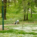Objavljena prognoza za BiH do srijede: Pripremite kišobrane, stiže nam promjena vremena