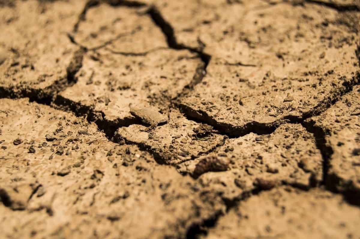Ekstremne vrućine i suša već koštaju evropsku ekonomiju stotine milijardi eura