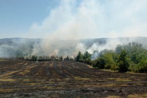Požar na Plješevici: Dron locirao žarišta, helikopter OSBiH spreman za nastavak gašenja