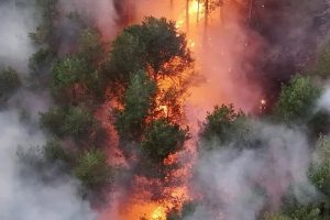 Požar na Trebeviću ponovo se aktivirao tokom noći