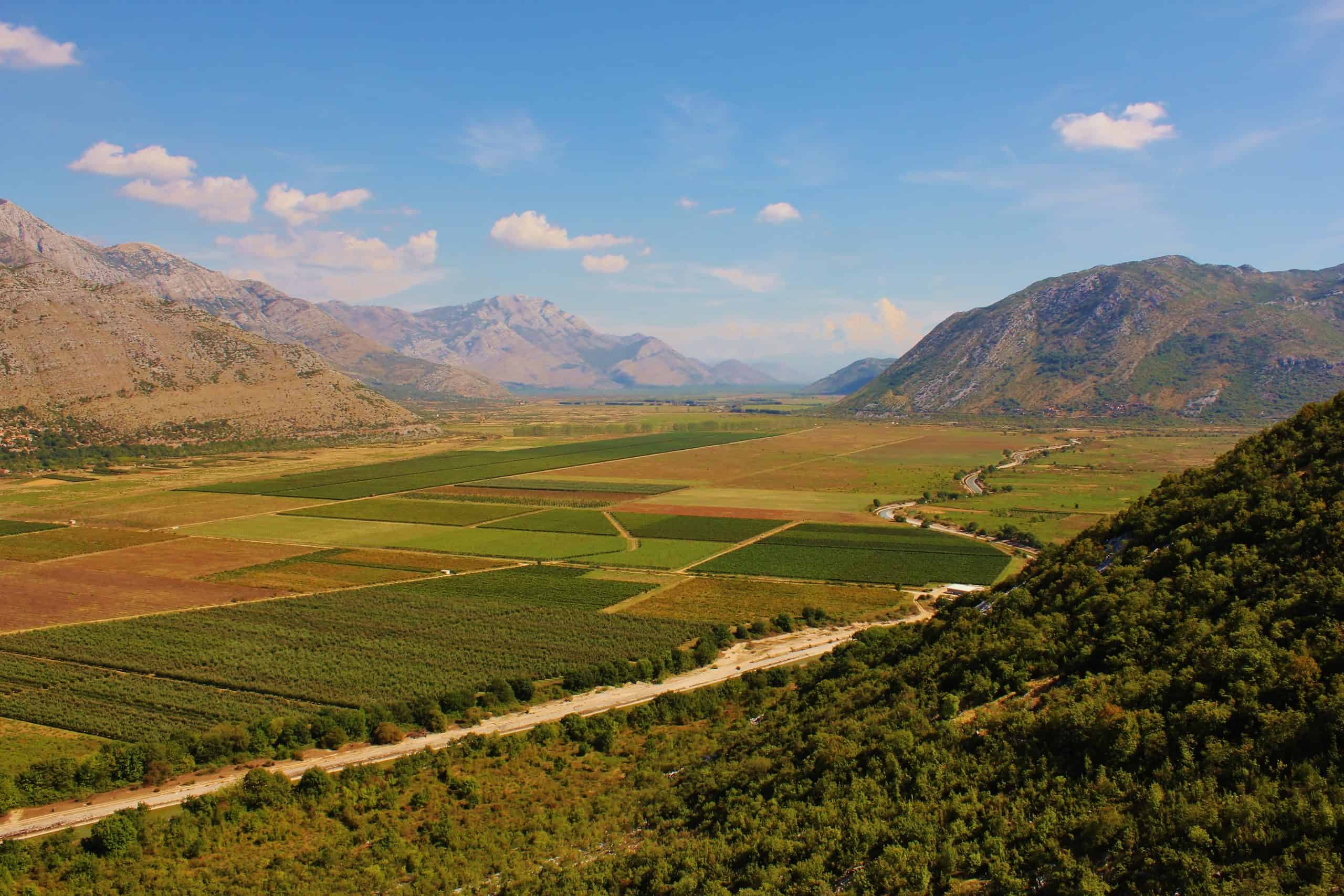 BiH uvozi skoro 5,5 milijardi KM hrane: “Više od 67% površina već je zaraslo, obrađujemo samo 10% Popovog polja”