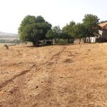 Udruženje poljoprivrednika FBiH traži proglašenje stanja elementarne nepogode zbog suše